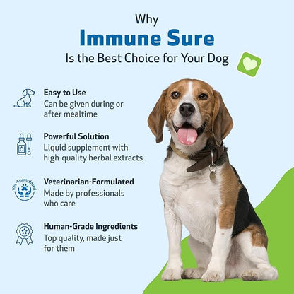 Pet Wellbeing Immune Sure for Dogs - Supports Normal Immune Defenses, Gut Flora Balance, Andrographis, Echinacea, Vitamin C, Zinc - Veterinarian-Formulated Herbal Supplement 4 oz (118 ml)
