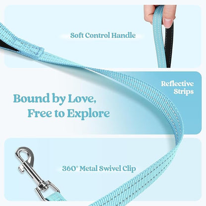 rabbitgoo Dog Harness Small Medium Sized and Leash Set, Step in Soft Light Puppy Vest, Breathable Mesh Pet Harness, Reflective for Safe Easy Walking, Mint Blue XL