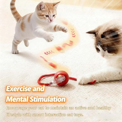 Interactive Rotating Cat Ball Toy, 360 Smart Rolling Ball Electric, Automatic Moving for Cats & Kittens (Blue)