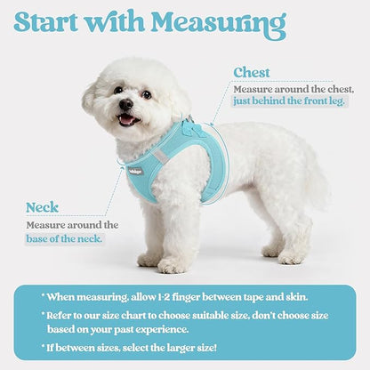 rabbitgoo Dog Harness Small Medium Sized and Leash Set, Step in Soft Light Puppy Vest, Breathable Mesh Pet Harness, Reflective for Safe Easy Walking, Mint Blue XL