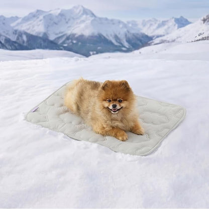 LE SURE Dog Cooling Mat for Small Dogs - QMAX>0.5 Breathable Thin Cool Crate Pad for Cat with Chill Fiber and Innovative Mesh Base Design, Portable Washable Pet Kennel Mat for Summer, 24x18,Grey