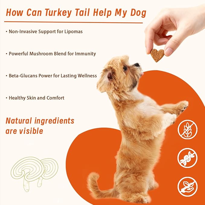 Natural Lipoma Support for Dogs, 7 Organic Mushroom Blend with Beta-Glucans, Boosts Immunity, 1500mg High Potency Turkey Tail, Reishi, Lion's Mane Helps Reduce Lumps & Bumps, 90 Chicken Soft Chews