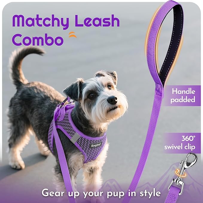 Eagloo Small Dog Harness and Leash Set, Step in Puppy Vest with Breathable Soft Mesh, Walking Reflective Pet Harness for Small Dogs, Purple, XXS