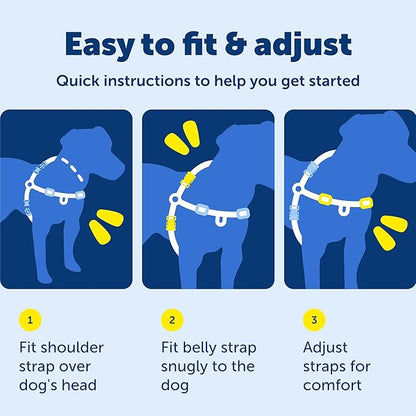 PetSafe Easy Walk Harness for Dogs - Pull-Free Walks - Patented Martingale Loop Design - Front Chest Leash Attachment - Comfort Straps - Breathable Harness Design - Large, Charcoal/Black