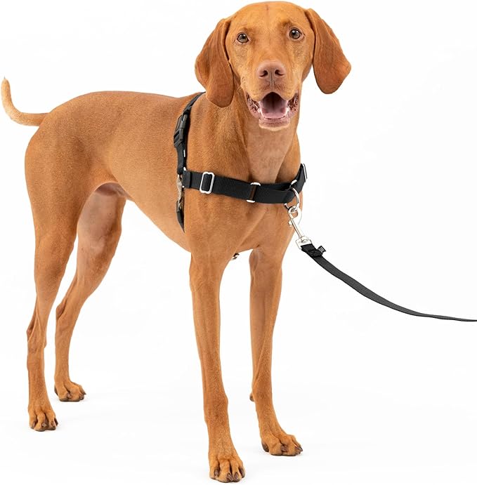 PetSafe Easy Walk Harness for Dogs - Pull-Free Walks - Patented Martingale Loop Design - Front Chest Leash Attachment - Comfort Straps - Breathable Harness Design - Medium, Black/Silver