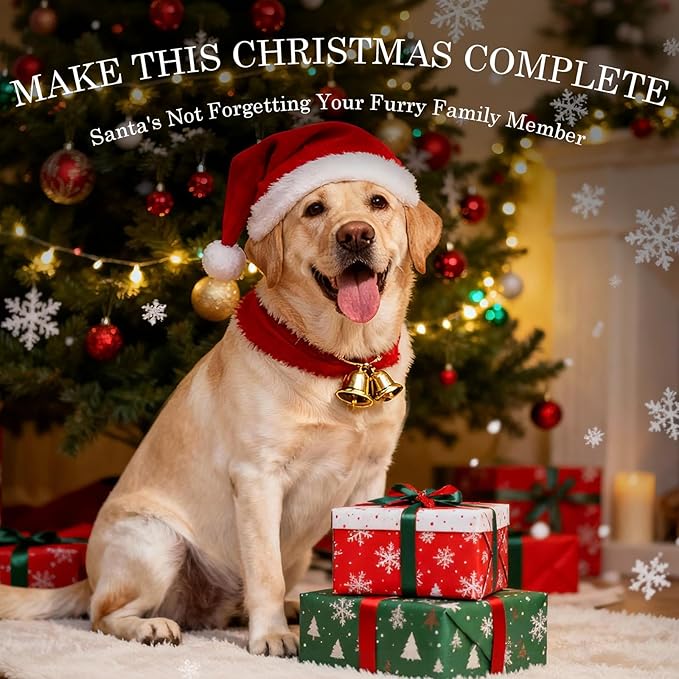Frienhund 6 Pack (XL Cactus) Indestructible Tough Dog Toys for Aggressive Chewers: Beef Flavored Chew Bone for Large Dogs 20-90 lbs, Long Lasting & Keep Them Busy