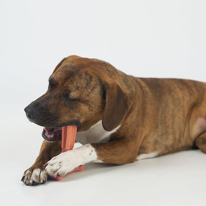 SPOT Bam-Bones Plus Coffee Wood T-Bone Dog Chew Toy, Beef Flavor, Nylon and Coffee Wood Fiber Blend, Durable Chew for Heavy Chewers and Dogs Under 60 lbs, Non-Splintering Dental Chew, 6 Inch
