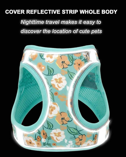 S Floral Green Pattern Dog Harness and Leash Set,No Escape Harnesses for Training Walking，Breathable Adjustable Puppy Vest for Small Medium Dogs, Cats (Turquoise, S)
