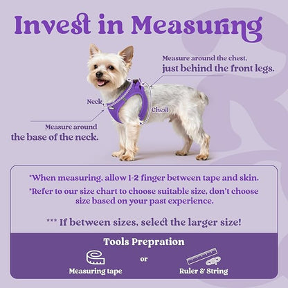 rabbitgoo Small Dog Harness, Step-in Soft Mesh Puppy Vest with Safety Buckle, Breathable Reflective Pet Harness for Small Medium Dogs, Purple L