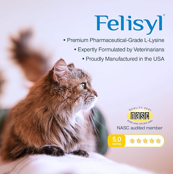 Felisyl L-Lysine Gel for Cats & Kittens (5oz) – Immune System, Respiratory & Eye Health Support. Reduces Sneezing, Runny Nose & Watery Eyes. Daily Salmon-Flavor Supplement – Made in USA (1 Pack)