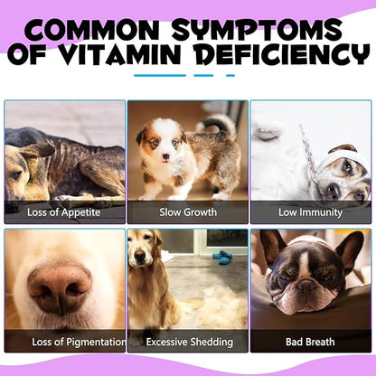 Dog Multivitamin, 15 in 1 Dog Multivitamin Liquid Drops Supplements, Dog Vitamins for Support Skin & Coat, Heart Health, Bones, Joint, Immune System Support, 60ml