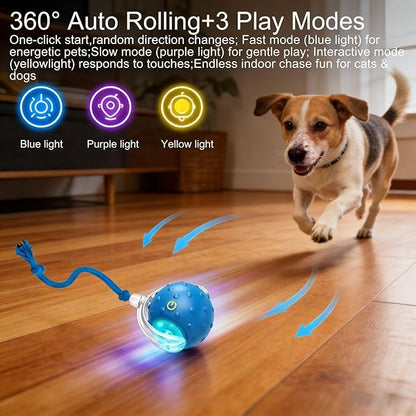 2PCS Interactive Cat Toys Ball, Tiny Fetch Interactive Dog Cat Toy Ball - 360° Automatic Scrolling with Birdsong, Smart Obstacle Avoidance, Rechargeable Boredom Buster for Pets (Blue+Red)