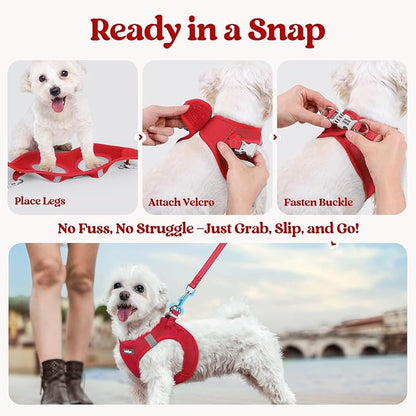rabbitgoo Dog Harness Small Sized and Leash Set, Step in Soft Light Puppy Vest, Breathable Mesh Pet Harness, Reflective for Outdoor Safe Walking, Red XL