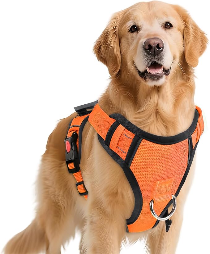 No Pull Dog Harness with 2 Leash Clips, Reflective Adjustable Soft Padded Vest with Handle, Breathable Oxford No Choke Pet Vest for Small Dogs, Orange,S