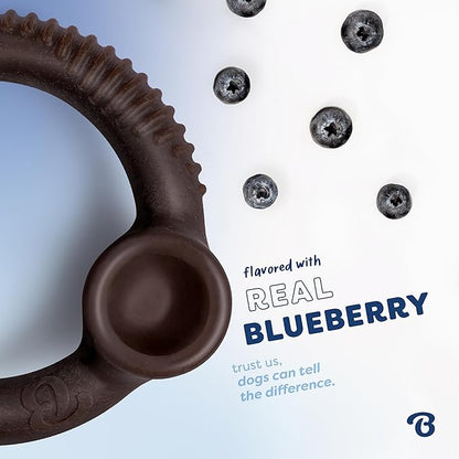 Benebone Ring Durable Dog Chew Toy for Aggressive Chewers – Limited Edition Blueberry Flavor, Large