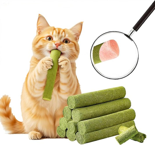 100g/3.5oz Cat Grass Teething Stick Cats Toy Chew for Removal Hairball Lickable Kitten Treat Catnip Snack for Indoor Edible Freeze Dried Kitty Food for Dental Care Health Elimate Hairball