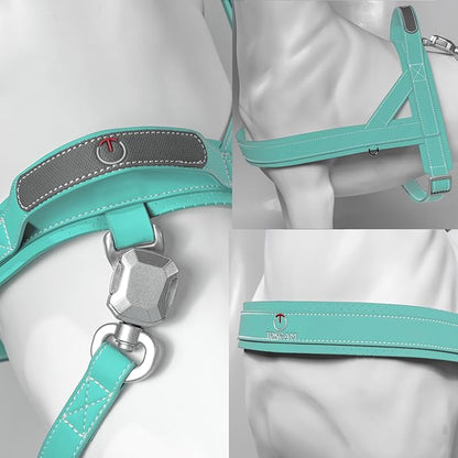 Magnetic Dog Harness and Leash Set with Quick Release Buckle, Easy On & Off Faux Leather Puppy Harness and Leash with Handle for Medium, Large Sized Dog