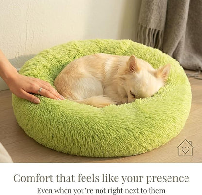 Calming Donut Dogs Beds for Small Dogs Washable,19inch Fluffy Round Puppy Bed for Puppies,Cats & Toy Breeds with Raised Rim,Fits up to 15 lbs Pets,Green