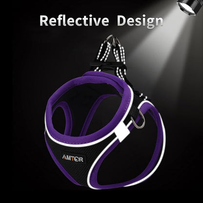AMTOR Small Dog Harness with Leash Set, No Escape Easy Walk Puppy Harnesses for Training Walking, Step-in Reflective Soft Dogs Vest for XS S Medium Extra-Small Large Sized Dog(XS,Black/Purple)