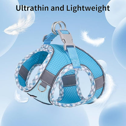 AIITLE XXS Dog Harness & Leash Set - Breathable Reflective No-Choke Small Dog Harness for Teacup Puppies, Indoor/Outdoor Use - Boston Terrier, Maltese, Chihuahua (Blue, XXS)