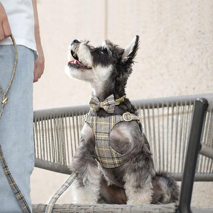 Beirui Cute Small Dog Harness Collar and Leash Set with Bowtie, Soft Adjustable Plaid Puppy Harness for Small Sized Dogs Cats Walks Parties and Photoshoots(Gray,S:Chest 17-23")