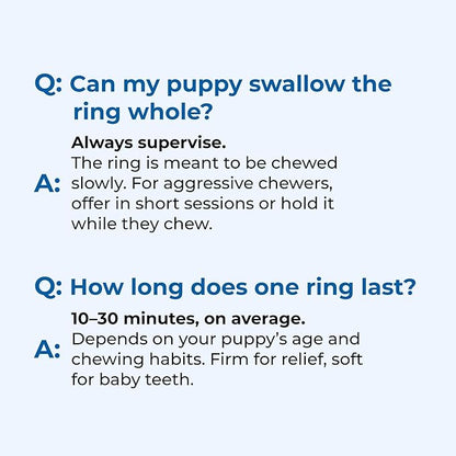 N-Bone Puppy Teething Rings Taste of Texas Burnt Ends Flavor 3 Count