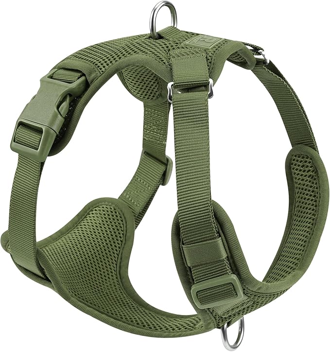 No Pull Dog Harness for Small Medium Large Dogs - Adjustable 2 Layer Mesh Dog Vest with Dual Clip, Escape Proof, Quick Release, Lightweight Breathable Mesh for Walking Hiking (Misty Green,XL)