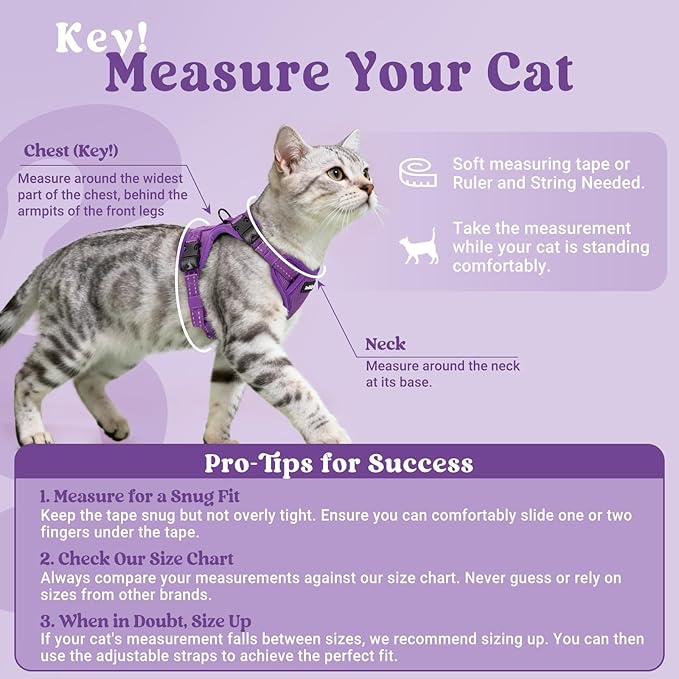 rabbitgoo Cat Harness and Leash, Escape Proof Vest with 3 Adjustable Buckles, Soft Comfortable Kitten Harness, Easy to Wear, Reflective for Safe Outdoor Walking, Small, Purple