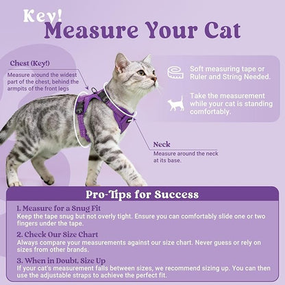rabbitgoo Cat Harness and Leash, Escape Proof Vest with 3 Adjustable Buckles, Soft Comfortable Kitten Harness, Easy to Wear, Reflective for Safe Outdoor Walking, Small, Purple