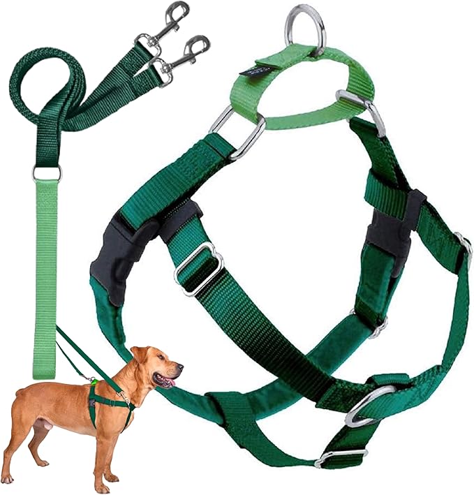 2 Hounds Design Freedom No Pull Dog Harness, Adjustable Harness and Leash Set, Easy Walking & Comfortable Control, Fits Small, Medium & Large Dogs, Solid Colors, Made in USA, 5/8" SM, Kelly Green