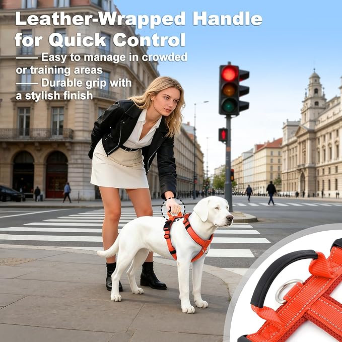 No Pull Dog Harness with Handle, Soft Mesh Padded Adjustable for Small Medium Large Dogs | Reflective Easy Walk Harness with Front Clip for Training, Running & Outdoor (Orange, XS)