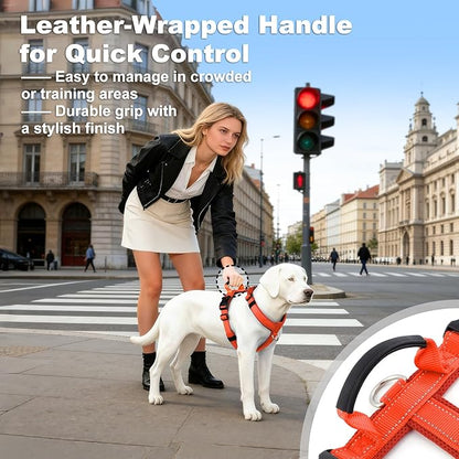 No Pull Dog Harness with Handle, Soft Mesh Padded Adjustable for Small Medium Large Dogs | Reflective Easy Walk Harness with Front Clip for Training, Running & Outdoor (Orange, M)