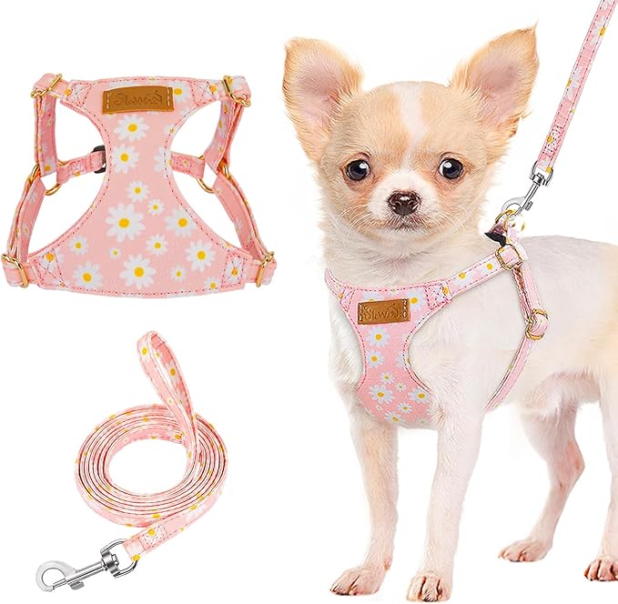 Lukovee Puppy Harness and Leash Set, No Pull Lightweight Soft Suede Adjustable Pet Harness Vest with Snap Buckle for Puppy Small and Medium Size Dog (PI-M)