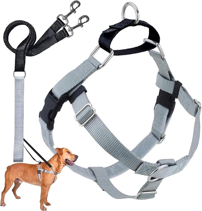 2 Hounds Design Freedom No Pull Dog Harness, Adjustable Harness and Leash Set, Easy Walking & Comfortable Control, Fits Small, Medium & Large Dogs, Solid Colors, Made in USA, 1" LG, Silver
