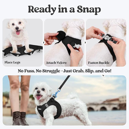 rabbitgoo Dog Harness Small Sized and Leash Set, Step in Soft Light Puppy Vest, Breathable Mesh Pet Harness, Reflective for Safe Easy Walking, Black XS