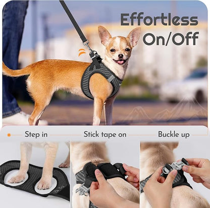 Eagloo Small Dog Harness and Leash Set, Step in Puppy Vest with Breathable Soft Mesh, Walking Reflective Pet Harness for Medium Small Dogs, Gray, M