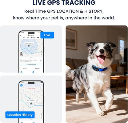 DBDD AI GPS Tracker for Dogs (40lbs+), Real Time Location and AI Health Caer Management, Electronic Fence, Waterproof, iOS and Android Universal（Black）
