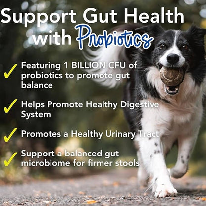 iHeartDogs 24-in-1 Adult Dog Multivitamin Daily+ Total Health Support Powder with Probiotics, Omega-3, Glucosamine, Mushrooms & Bone Broth - 60 Servings
