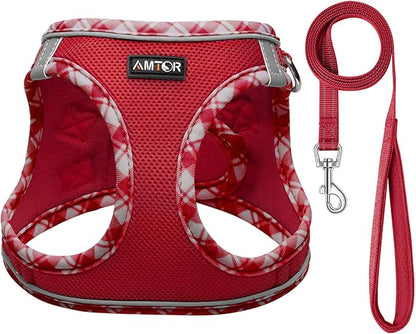 AMTOR Small Dog Harness with Leash Set, No Escape Easy Walk Puppy Harnesses for Training Walking, Step-in Reflective Soft Dogs Vest for XS S Medium Extra-Small Large Sized Dog(XS Size,Red/White)