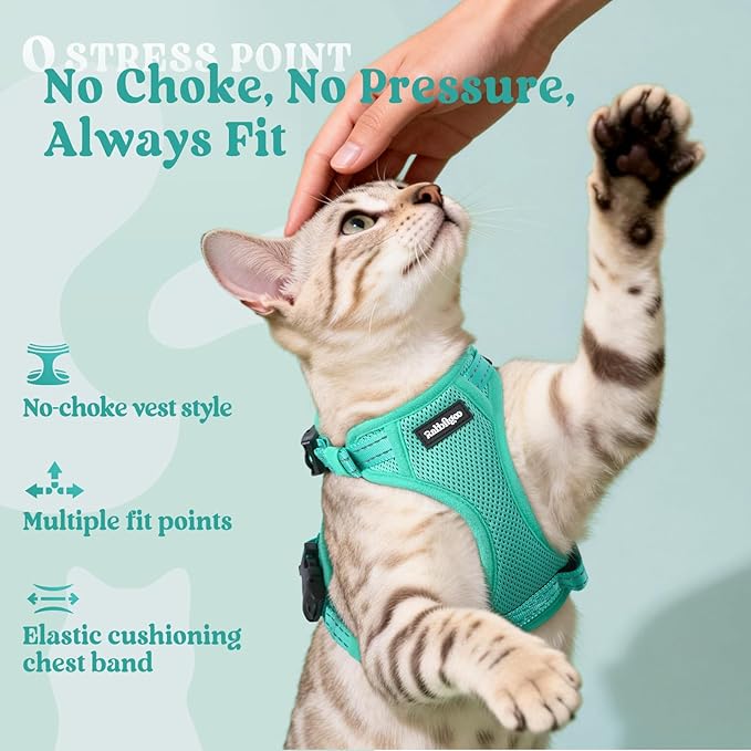 rabbitgoo Cat Harness and Leash, Escape Proof Vest with 3 Adjustable Buckles, Soft Comfortable Kitten Harness, Easy to Wear, Reflective for Safe Outdoor Walking, XS, Green