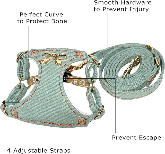 No Pull Dog Harness and Leash Set for Small Sized Dog Training; Puppy Harnesses with Multifunction Dog Leash, Soft Adjustable Denim No Choke Escape Proof Pet Harness for Small and Medium Dog (Teal XS)