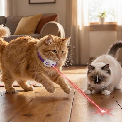 Walfront Cat Toys for Indoor Cats, Purple Light-Up Interactive Collar with Automatic Motion, Adjustable Fit 9.1–13.4"(23–34cm) USB Rechargeable 2 Modes, Home Alone Cats, Engaging Playtime