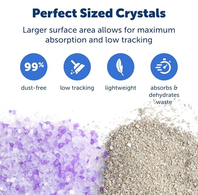 PetSafe ScoopFree Premium Crystal Cat Litter - Outperforms Clay Litter - Refill Packs - Reusable Tray Compatible - Lavender Scent - 4.3 lb Bags - 2 Pack