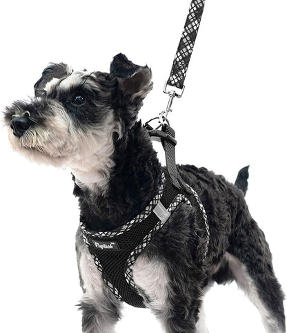 PUPTECK Dog Harness and Leash Set for Small Medium Dogs No Pull Step-in Soft Mesh Puppy Cat Vest Harnesses Reflective at Night, Black L