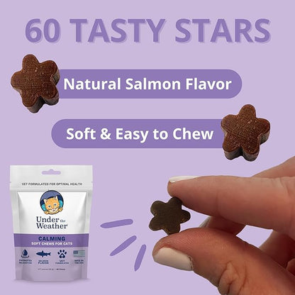 Under the Weather Pets | Natural Calming for Cats, 60 Soft Chews |áIngredients Include Thiamine, Normal Nervous System Function | L-Theanine Relaxation, Sleep | L-Tryptophan an Converted to Serotonin