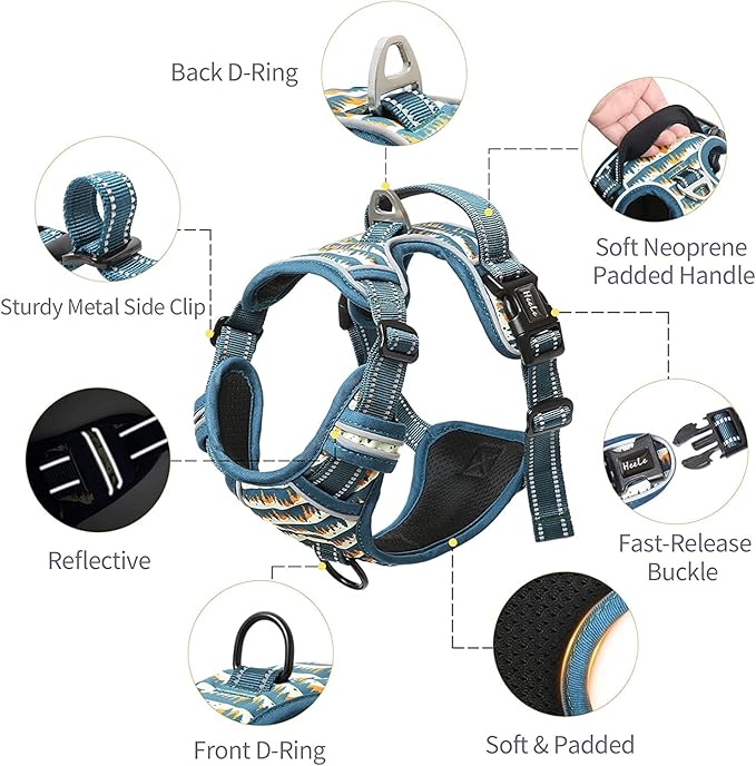 HEELE Dog Harness, No Pull Adjustable Padded Reflective Harness for Small Medium Large Dogs with Handle for Walking Training, Flower-Sunset Valley, L