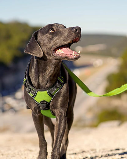 Joytale No Pull Dog Harness Medium Sized Dog, Reflective Pet Vest with Front Clip, Adjustable Soft Padded Harnesses with Easy Control Handle for Training and Walking, Green, M