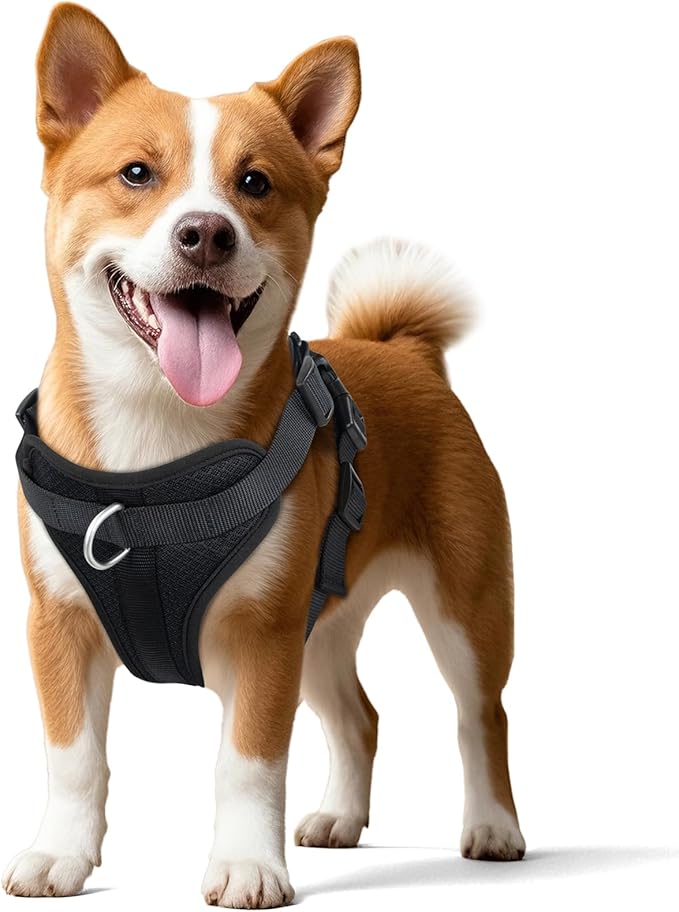 Wisedog Dog Harness Medium Sized, Pet Vest with Front Clip, Adjustable Puppy Harness with 3 Fast Release Buckles[Easy to Put on & Take Off] (Black, XS)