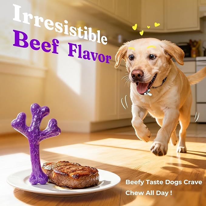 Frienhund 2 Pack Indestructible Dog Chew Toys for Aggressive Chewers - XL Textured Cactus with Grooves for Peanut Butter & Yogurt, Beef Nylon Bones for Large Dogs 20-90 lbs, Easy Chew & Long Lasting
