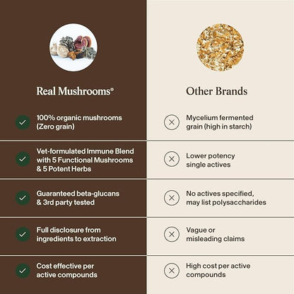 Real Mushroom Immune Pet Chews – For Daily Digestive & Immune Health – Mushrooms for Dogs & Cats Functional Treat – Mushroom Supplement for Dogs & Cats – 1 to 4 Chews For All Breeds & Sizes (60 Count)